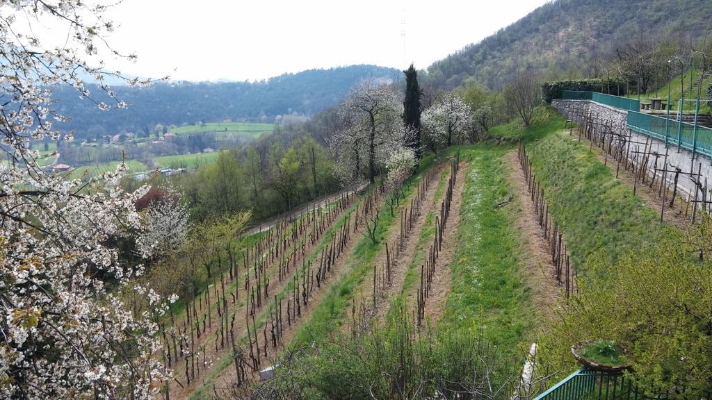Agriturismo Il Mirabile Bed & Breakfast เตรสโกเรบัลเนอาริโอ ภายนอก รูปภาพ