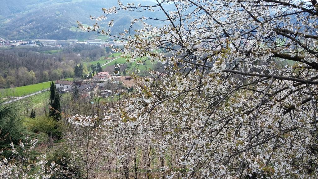 Agriturismo Il Mirabile Bed & Breakfast เตรสโกเรบัลเนอาริโอ ภายนอก รูปภาพ
